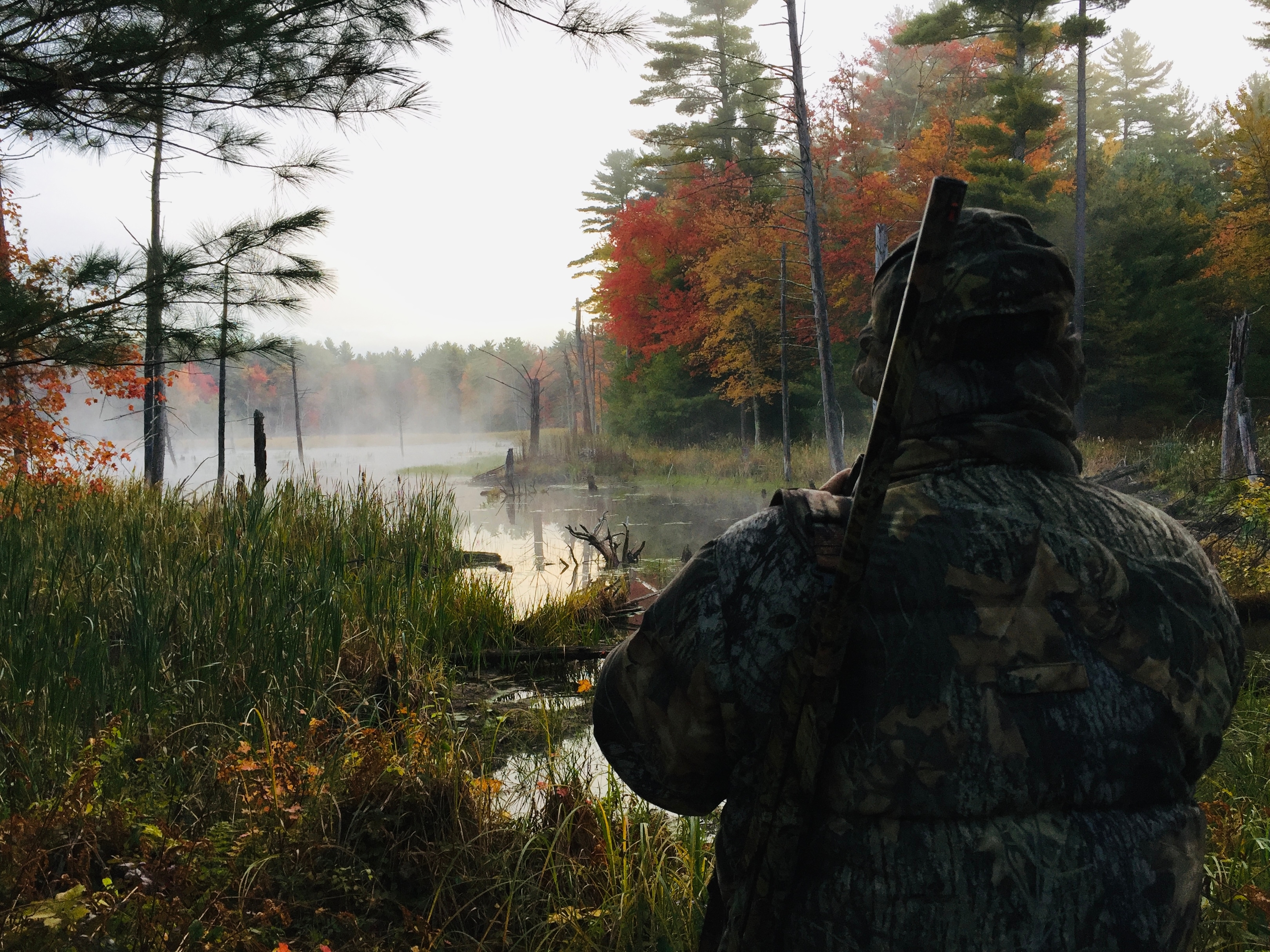 Hunter waiting near a misty New England wetland in fall