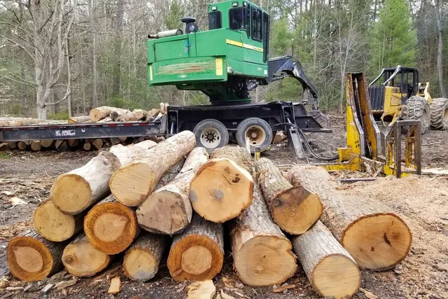 Forwarder loaded with logs at a landing and staging area