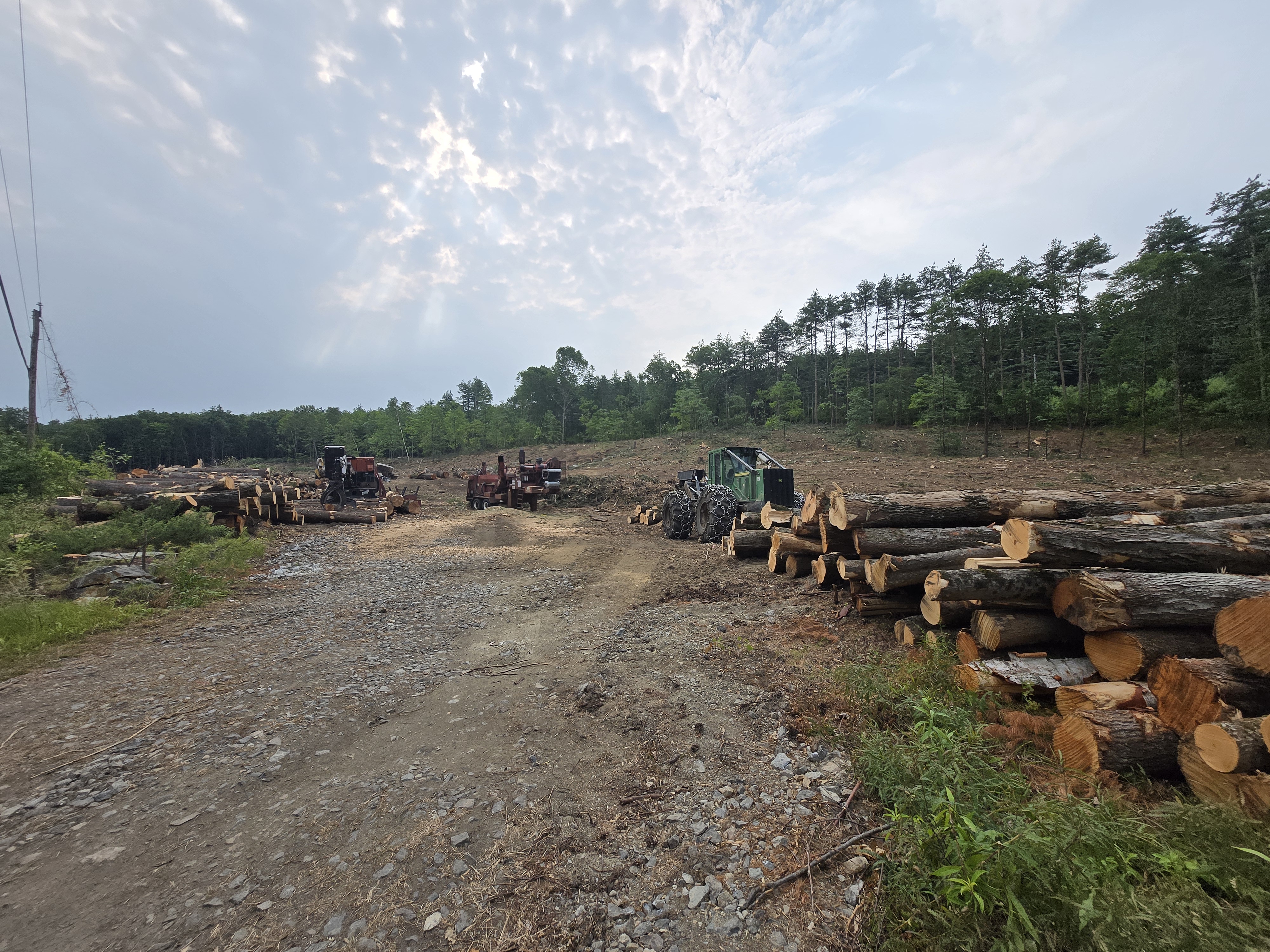 Active harvest landing with skidder, log deck, and processing equipment