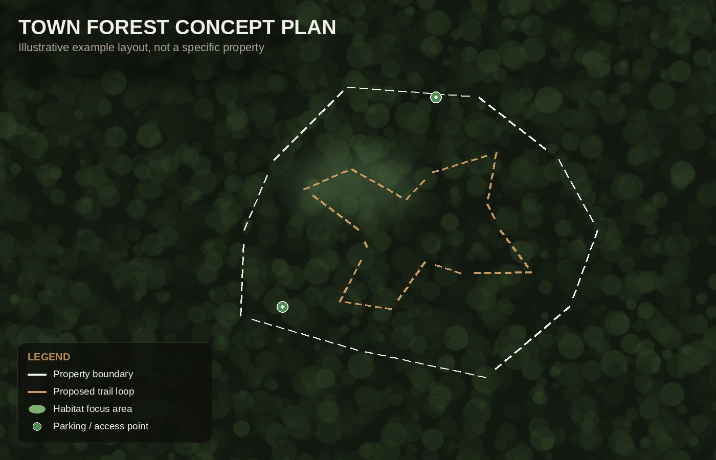 Illustrative town forest trail concept plan showing property boundary, proposed trail loop, habitat focus area, and access points