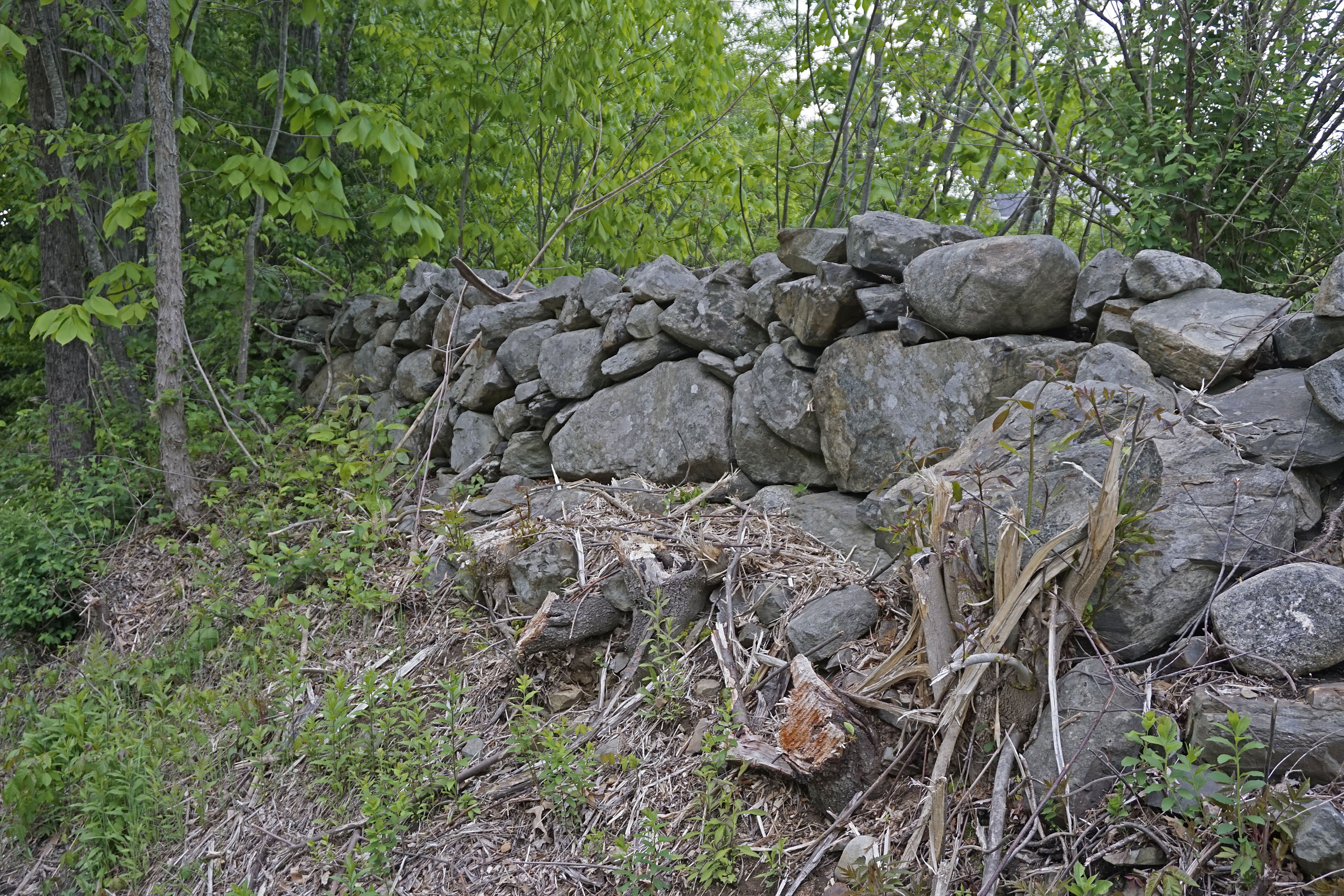 Old dry-stack stone wall in the New England woods, marking a historic property line